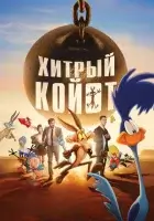 Хитрый койот